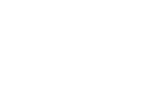 Advanced Custom Fields Logo